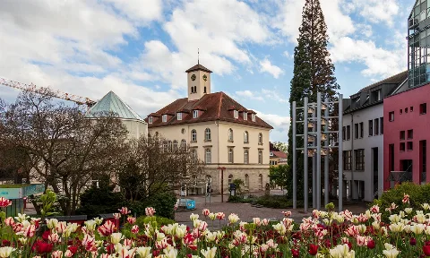 Gebäudereinigung in Sindelfingen